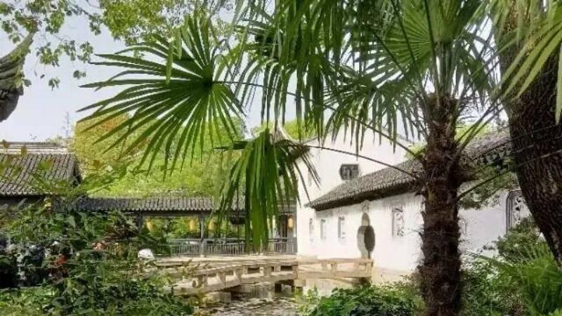 探秘木渎古镇：江南水乡的历史与文化底蕴