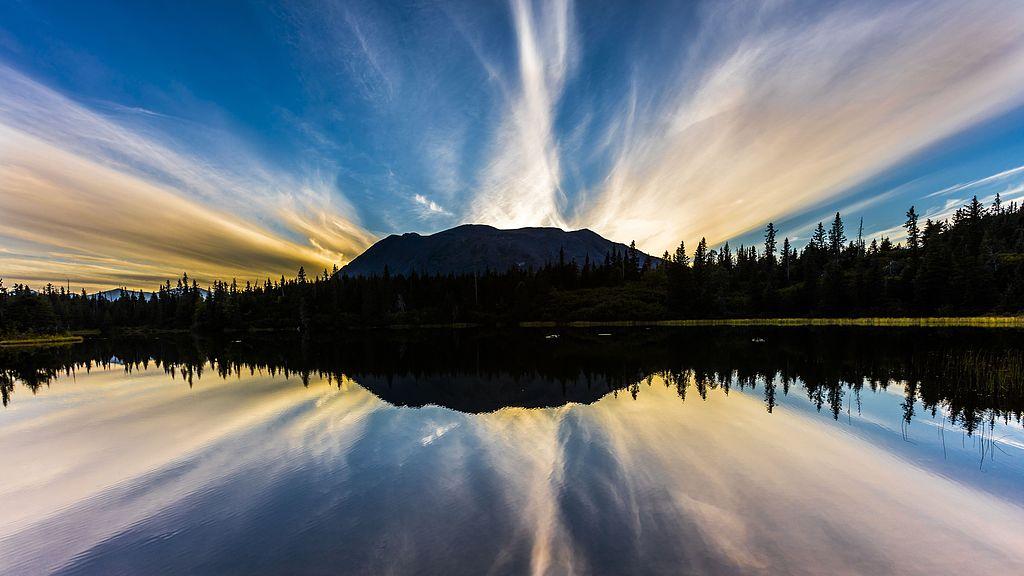 人最大的愚蠢：七个字