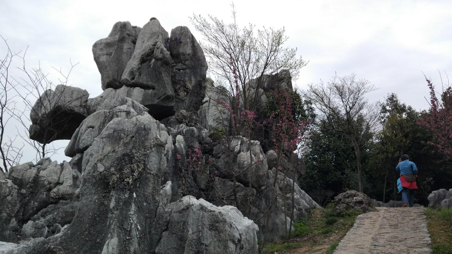 沟豁皱褶与满脸褶子之比较