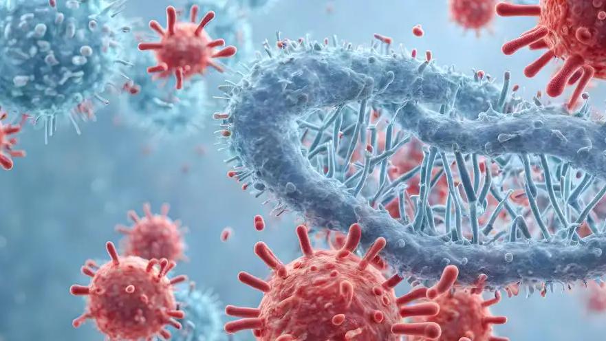 HIV在感染72小时内主动编程T细胞，该发现为清除HIV潜伏提供新思路