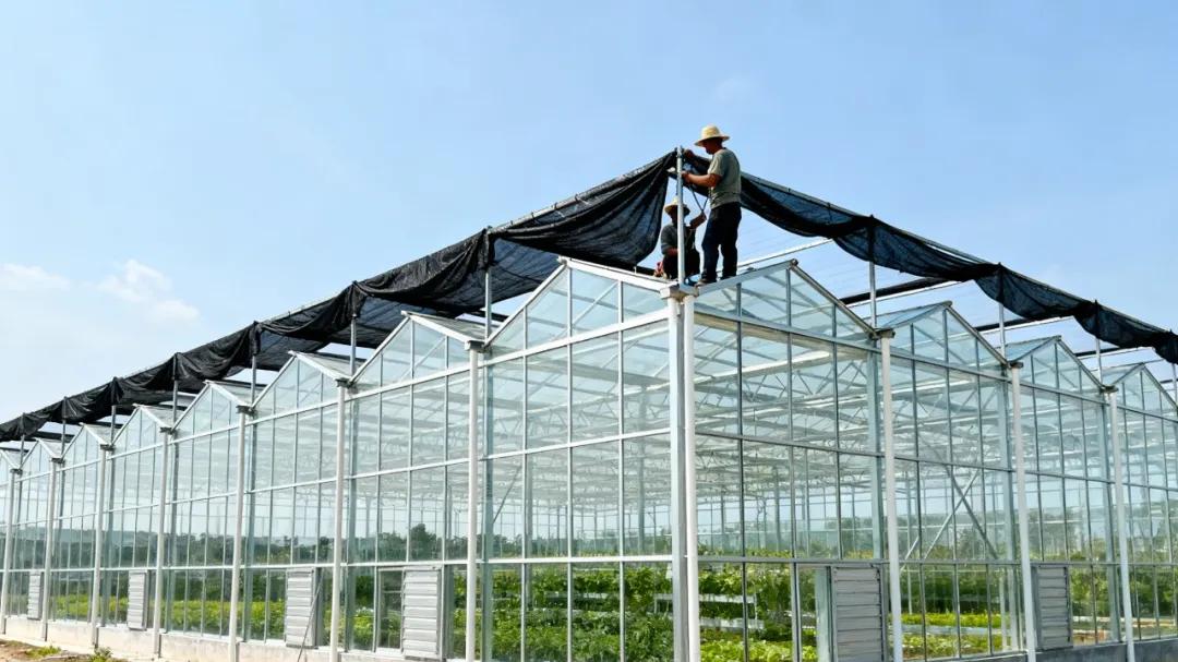 温室大棚玻璃能用多久？20年以上没问题！但这些关键点必须知道！