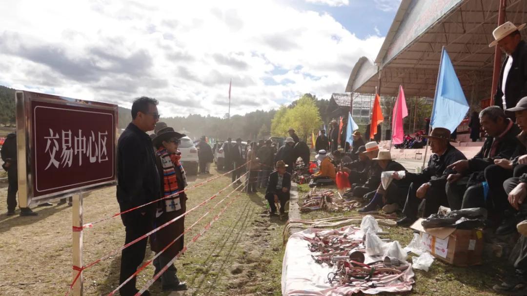 骏马奔腾促交融 文化赋能助振兴——2025年香格里拉市骡马交流会圆满举行