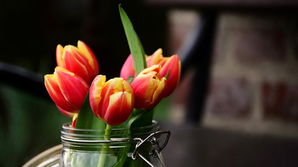 退休金8000，给儿子带了半年孩子，发现人老了有些事千万别抢着做