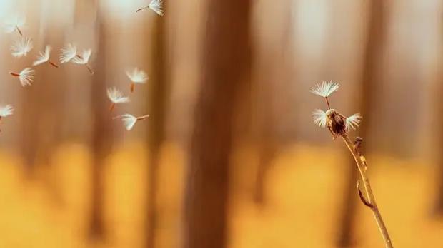 期盼每一天都美好