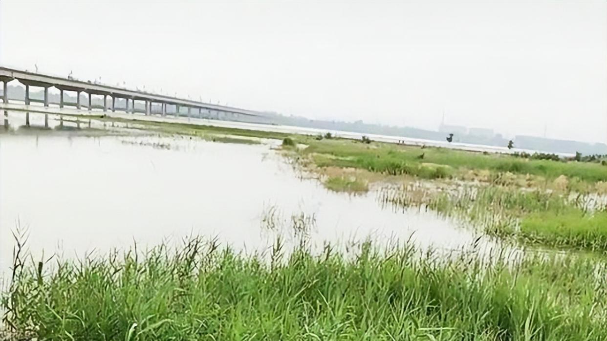 怪不得电鱼的人少了，两个案例17.5万罚单！电鱼者看了能不慌吗？