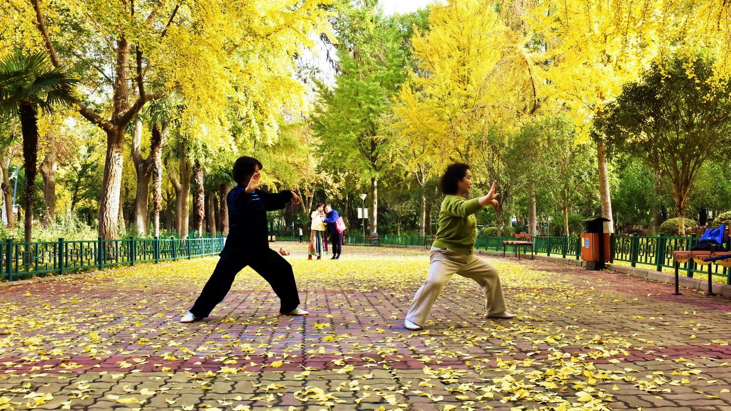 我们的生活充满阳光