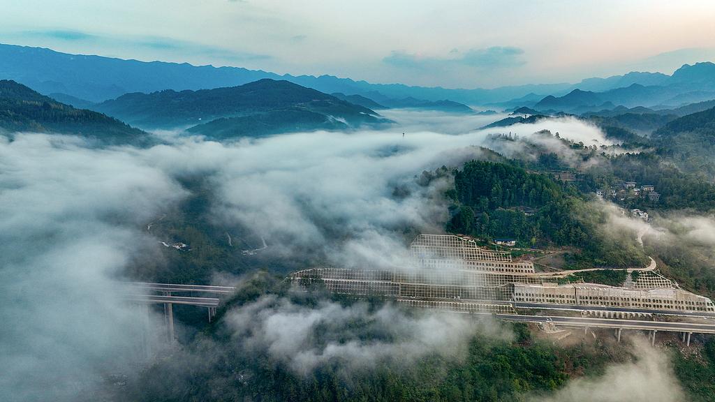 生活里最好的节奏：谋事远，处世暖，守心定