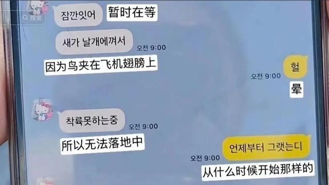 韩客机事故幸存者发声，聊天记录爆出，网友：要是跑道没墙就好了