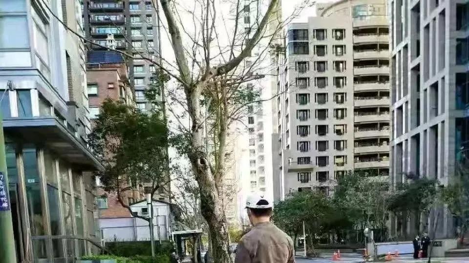 大V深挖：汪小菲带孩子回大陆易如反掌，为何却选择留台？
