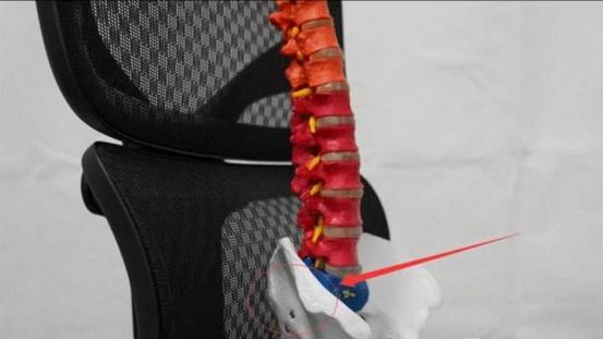 人体工学椅选哪个？2026年护腰人体工学椅十大推荐