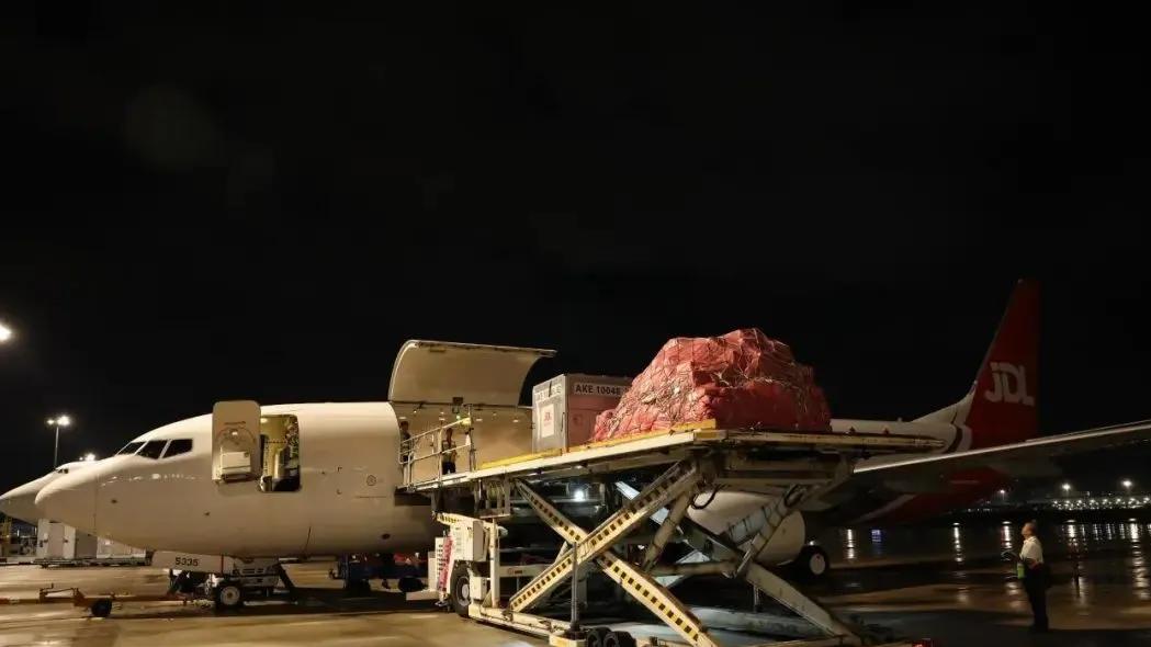 岭南荔枝“打飞的”全国狂奔！深圳机场让“长安荔枝梦”轻松拿捏！