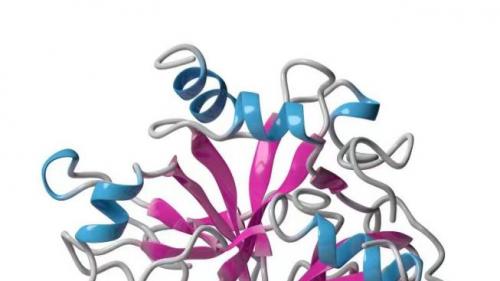 以人体临床研究进行科学求真的NSKSD纳豆激酶