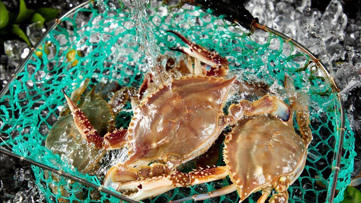 蒸梭子蟹时，直接上锅蒸就错了！老渔民教你一招，不断腿，不流黄