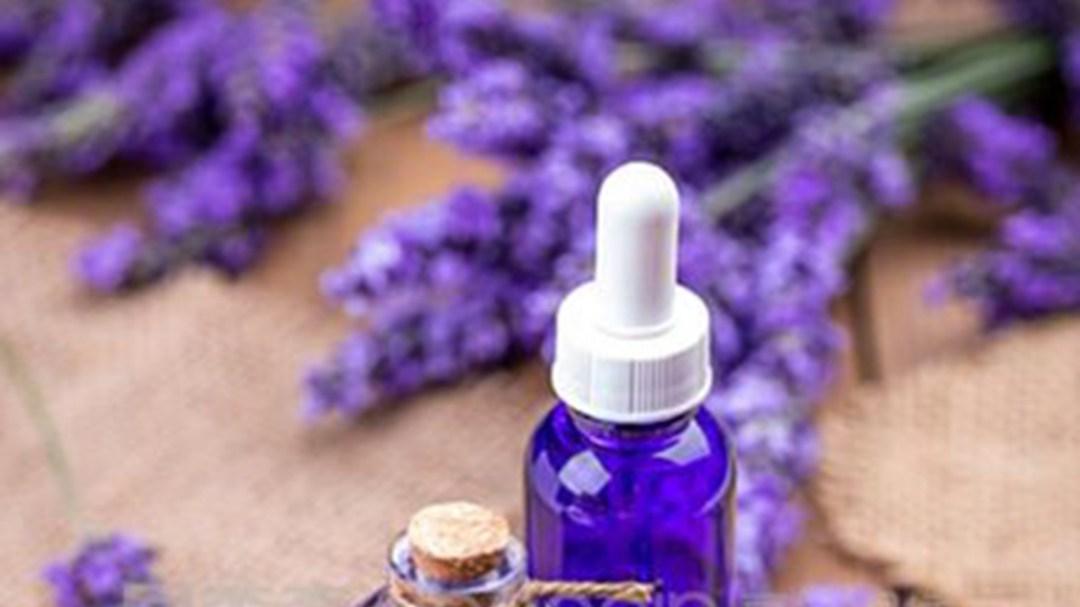 薰衣草杆插密植实验成功，黏土改良助力生长，返乡青年合作社破解间距染菌难题