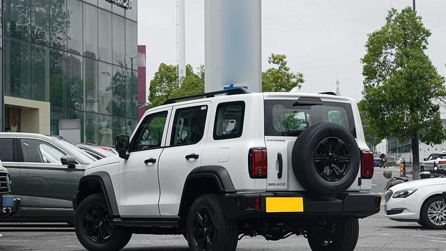 硬派越野新选择！三把锁+蠕行模式，不到20万就能买，解读坦克300