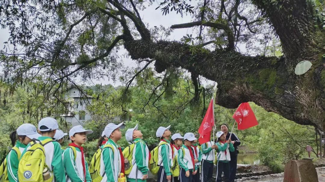 信阳市浉河区哈敦学校第82次远足“走进西河古村落”