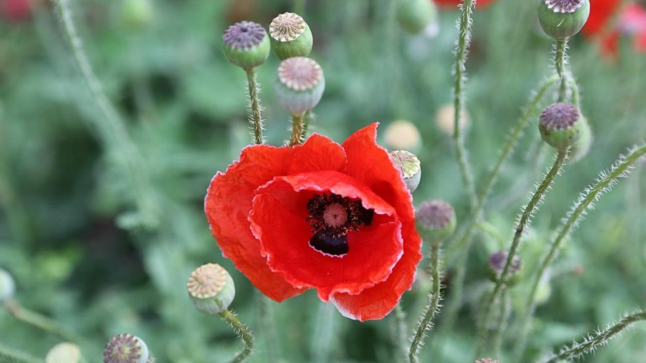 “一分钱不挣，还出轨？”一个全职妈妈的婚外走肾与走心