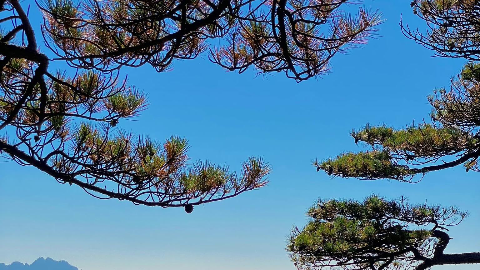 一个堂哥的陨落，会带来千万个堂哥的崛起