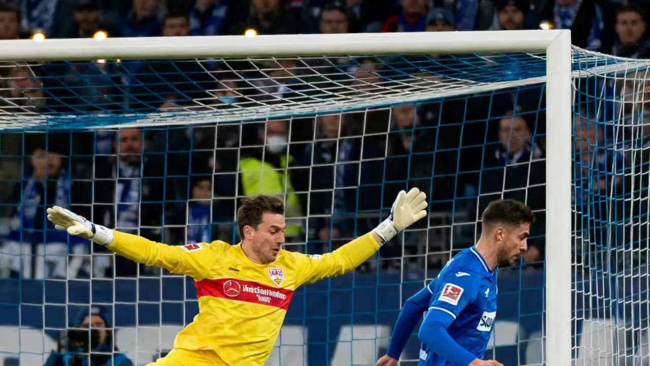 德甲，斯图加特多线作战，霍芬海姆专攻联赛，全力以赴。