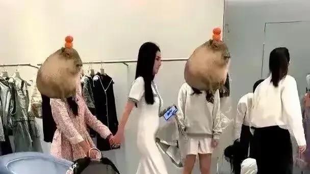 汪小菲一家四口现身香港！小玥儿寸步不离马筱梅，孩子正面曝光