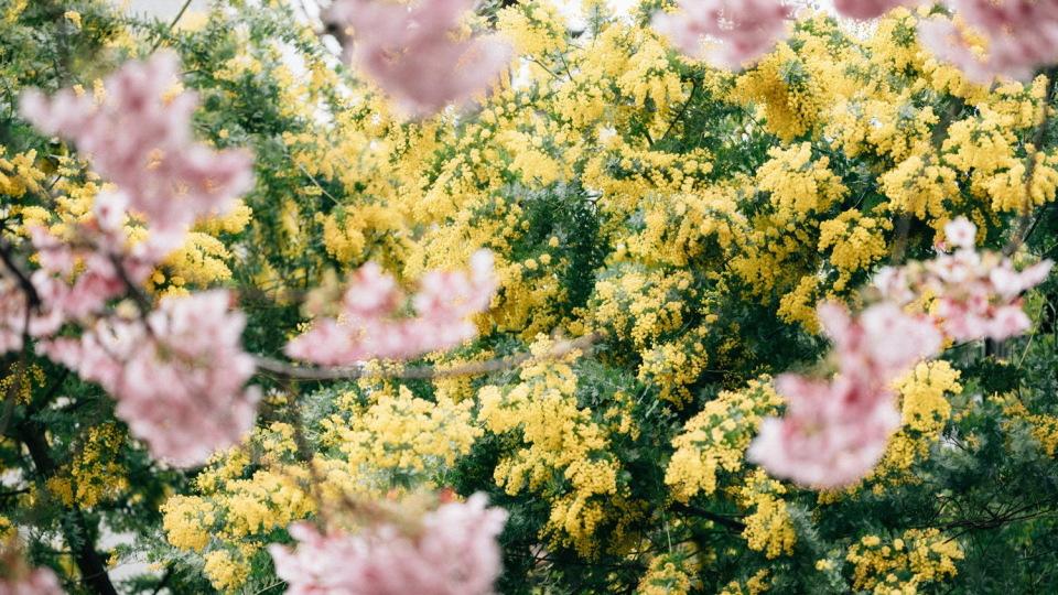 我卖房给我爸治病，我哥说我逞能不再出现，老房子要拆迁他又来了