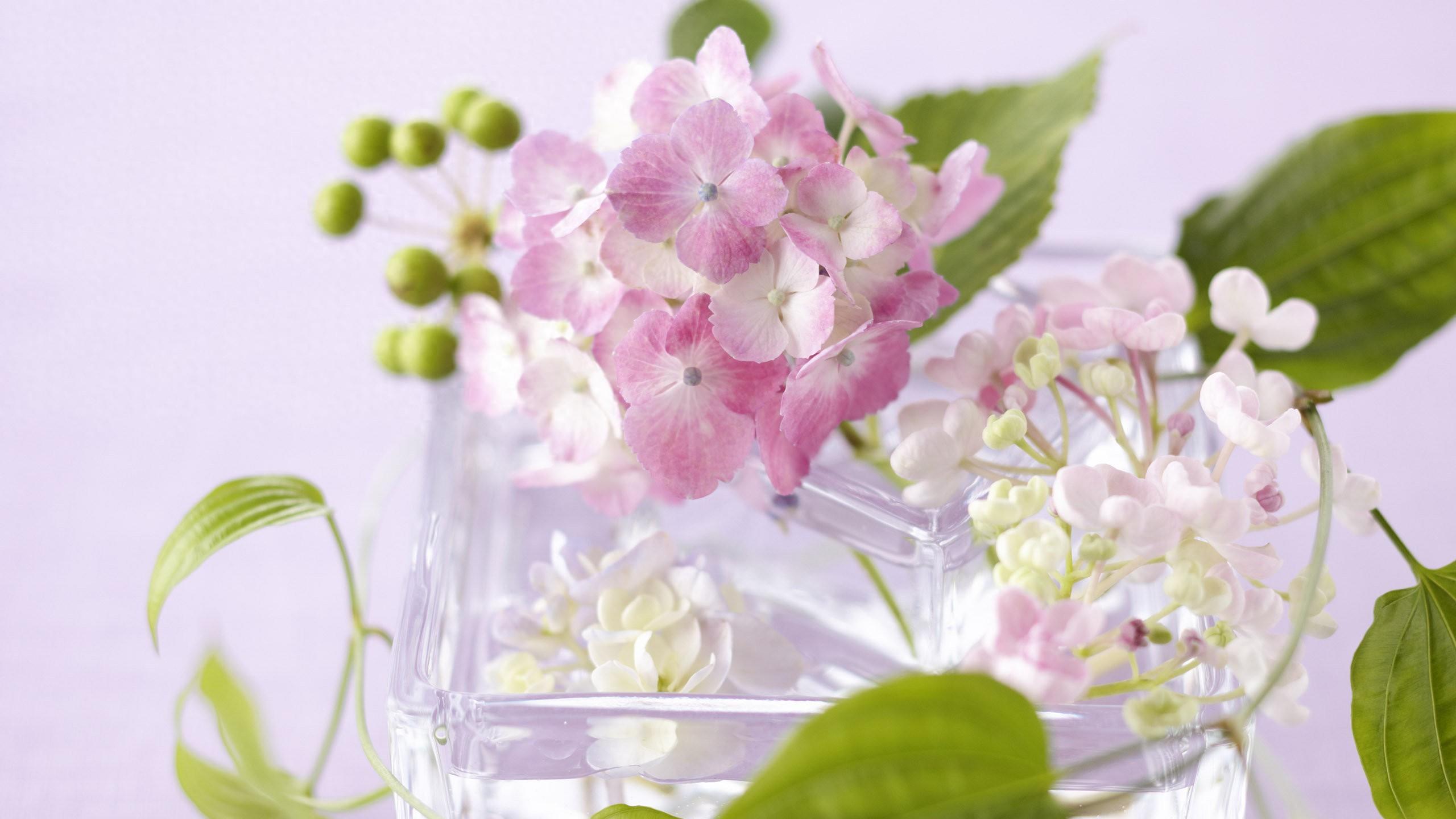 俩人都有家，还搞一起？记住这4点，少受罪！