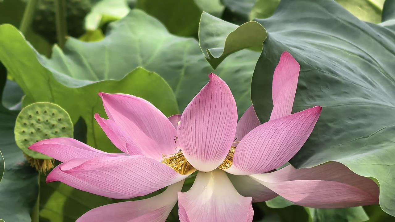 女人要治服一个男人，最有效的方式：两个字