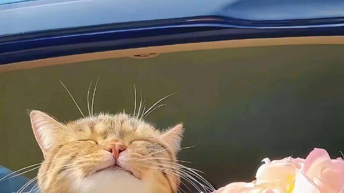 踏青而行，春天太美好