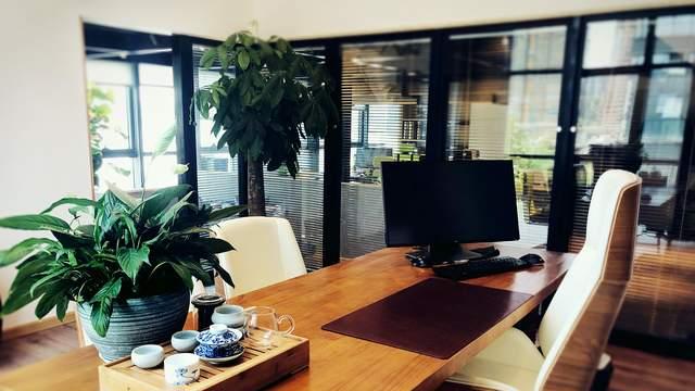 一位CFO的融资救赎，从被资本抛弃到估值翻倍的惊天逆转