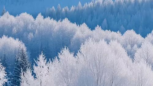 教育类热搜标题：这样写，自带传播力