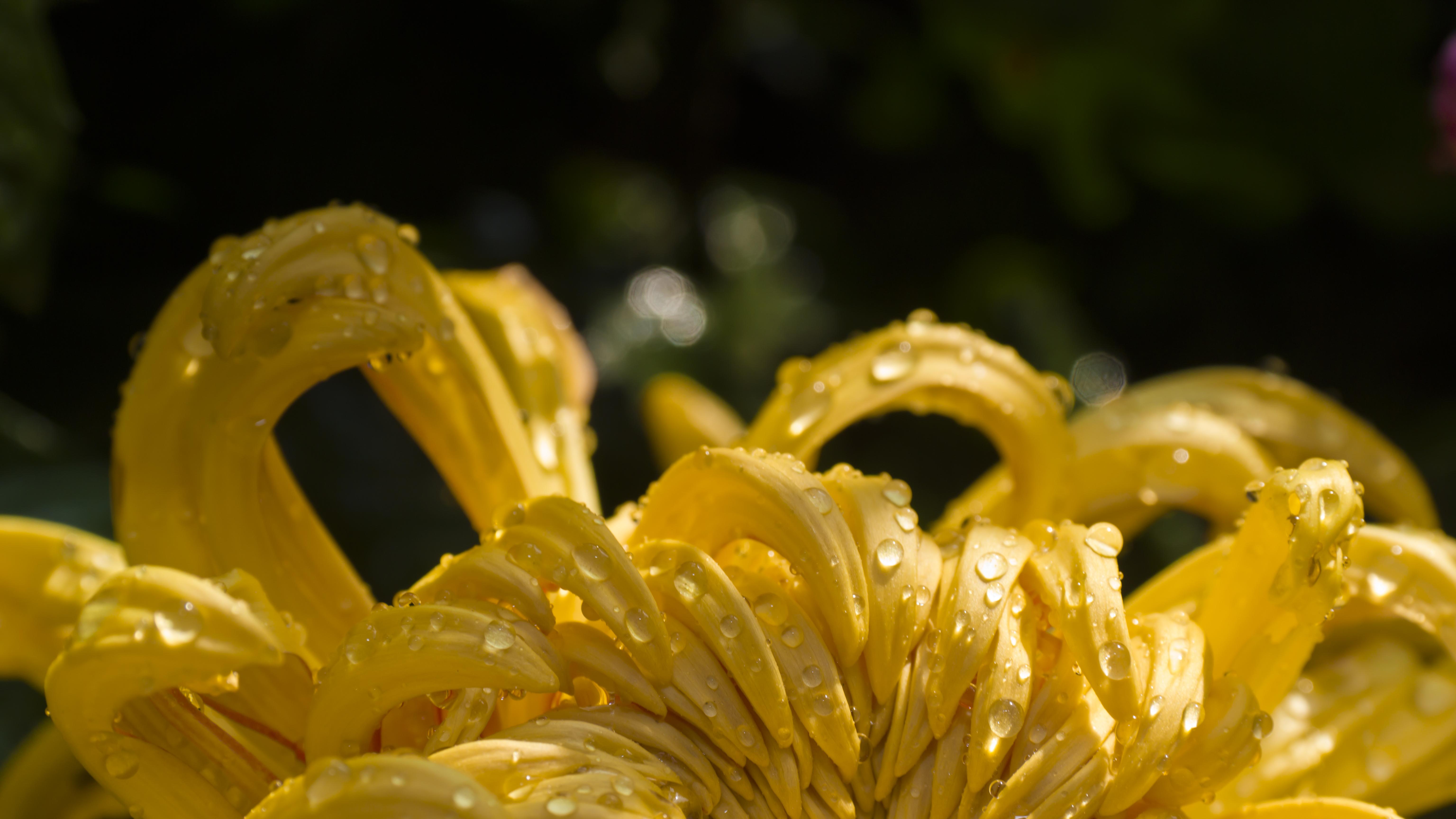 商业为何终点竟是文明？