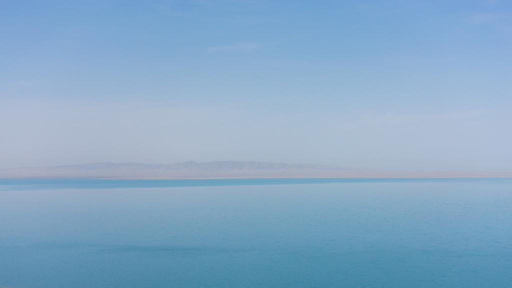 成年人最大的清醒，及时止损