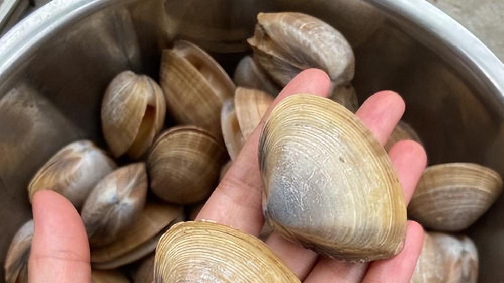 中国蛤蜊界10个好吃的产地，每种口味都能满足你的挑剔