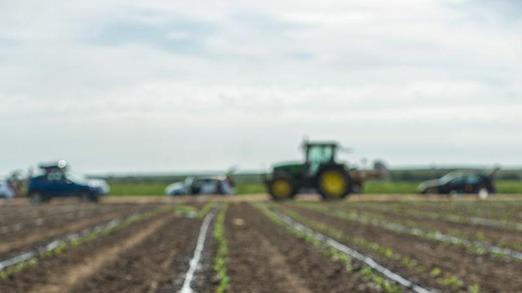 光伏板下光照优化技术研究，补光灯波长适配对西兰花生长的影响，四季光周期调控与预冷运输方案
