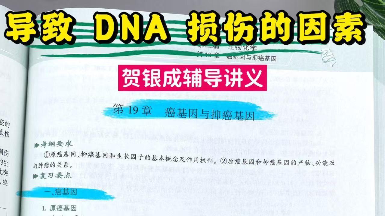 导致 DNA 损伤的因素-贺银成辅导讲义