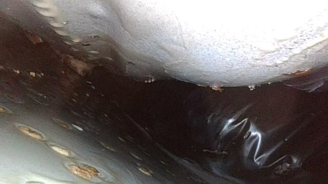 准新车况！2023款奔驰E300L豪华，2.6万公里，优雅依旧！