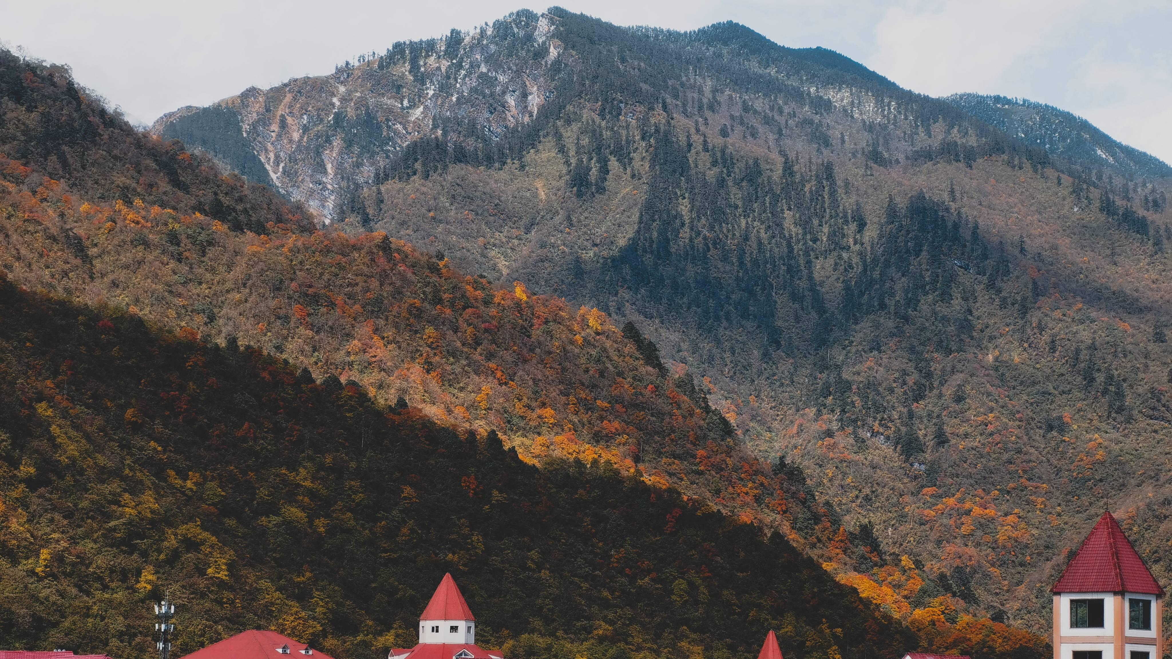 首次创业的“决策恐慌”： 建立“有限信息下的判断底气”