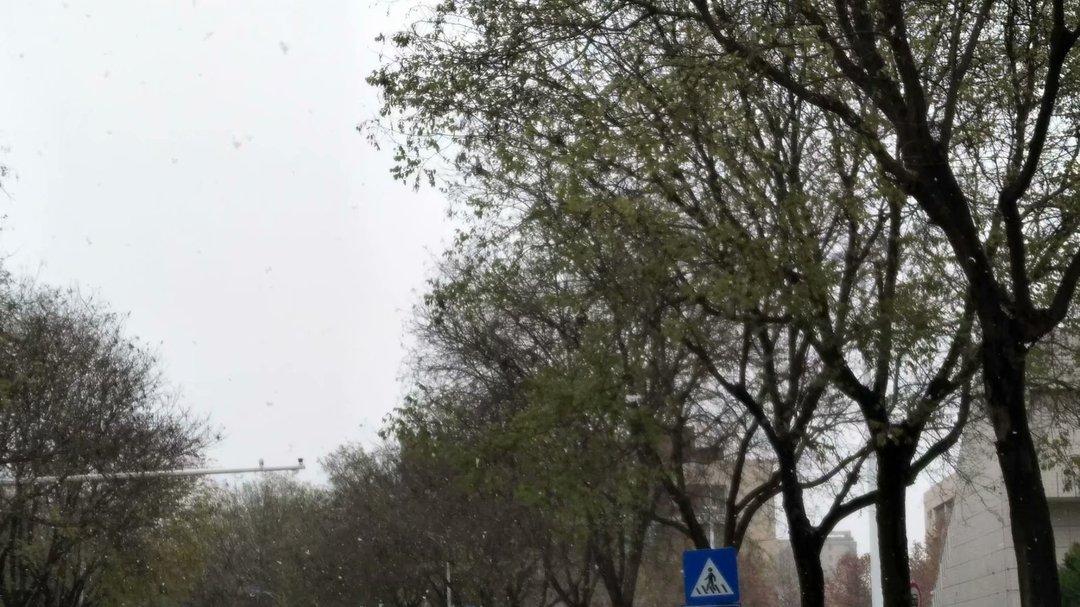 张钰璟：三万个平行世界里的生命叩问——论黎珮琳长篇小说《裂缝十五年》的人性隐喻与叙事艺术