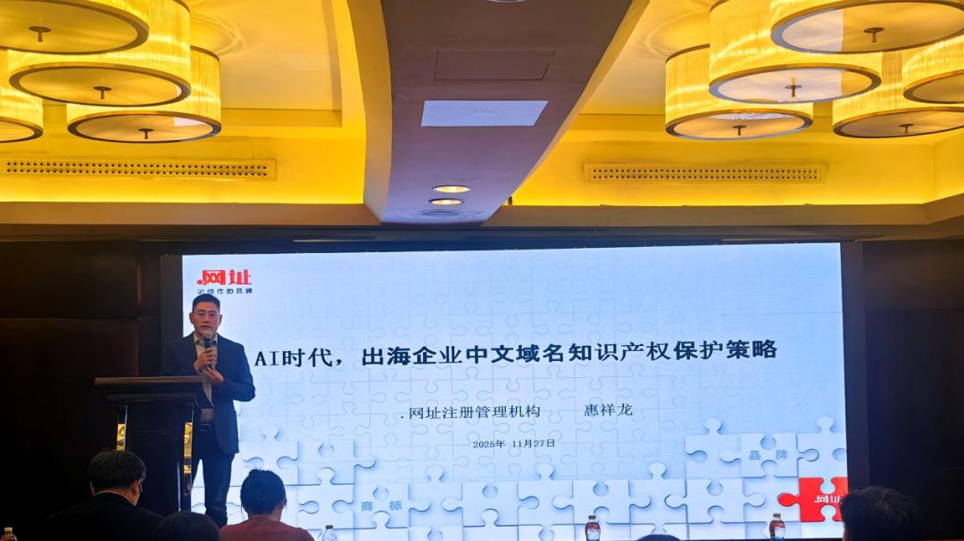 AI时代，对于出海企业中文域名知识产权保护的策略有哪些？