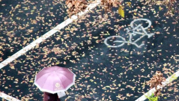 在唯品会买羽绒服，才知道好货不贵是真实存在