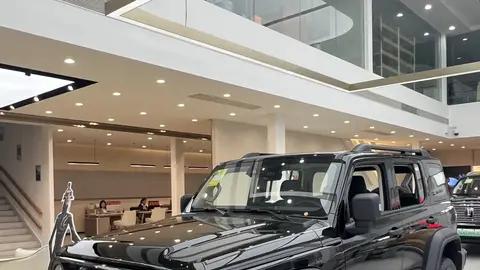 坦克300Hi4-T正式上市，带电的“方盒子”越野能力实测