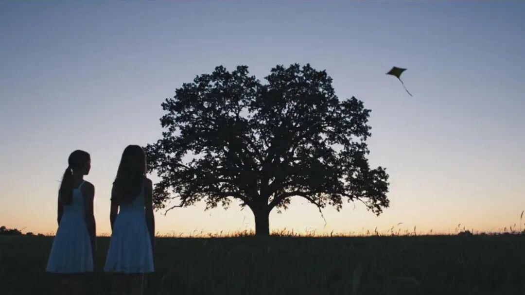 原创歌曲《树上的风筝》：藏在风里的迷茫与倔强，你听懂了吗？