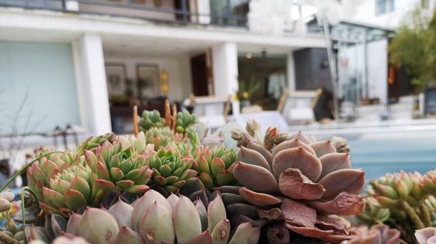 二月初十的秘密：吃三样、做一事、忌一事，你知道吗？