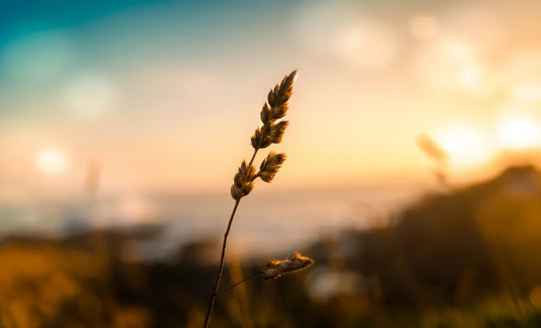 与不够完美的自己，温柔和解