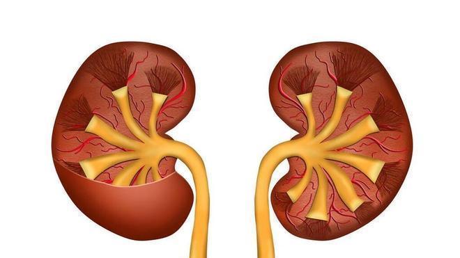 咖啡因依赖：功能性饮料日限400ml