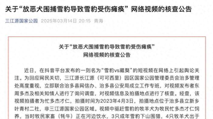 雪豹受伤瘫痪引争议，恶犬围攻？官方澄清还原真相，藏獒惨死谁之过？