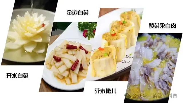 白菜—百菜之王的昨天、今天和明天
