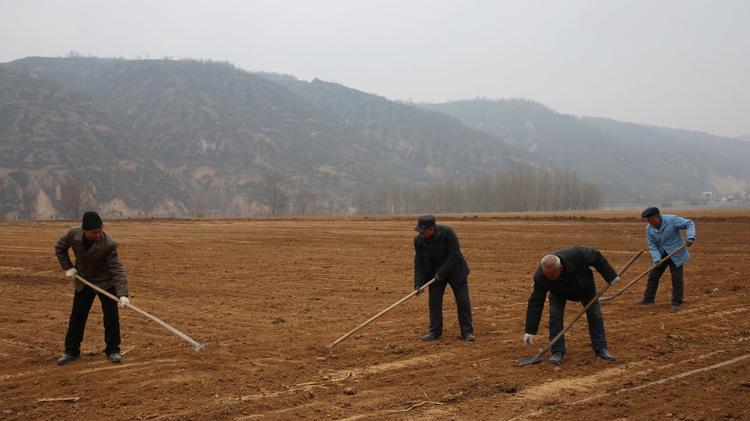 一号文件“禁购令”，农村土地的守护密码？