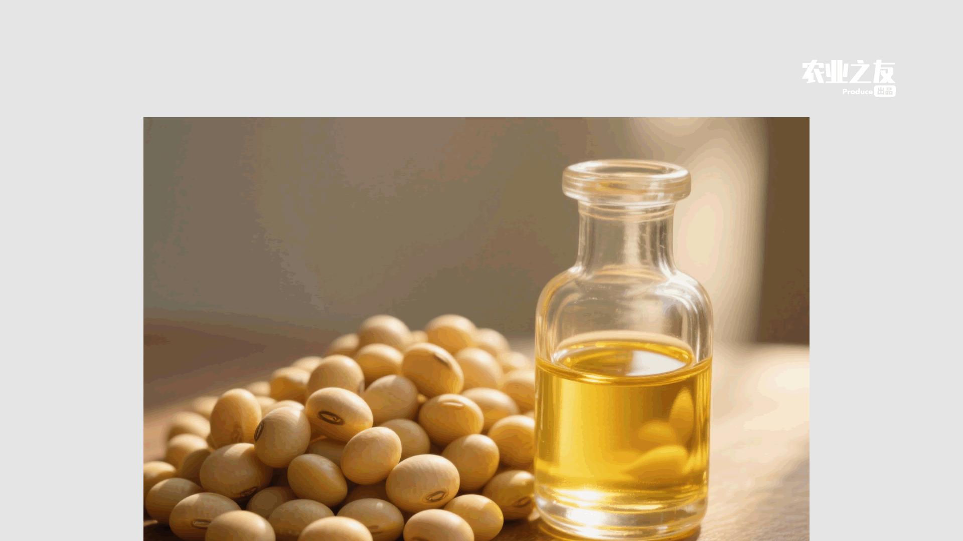 全国大豆油料生产会 部署夏播夏管