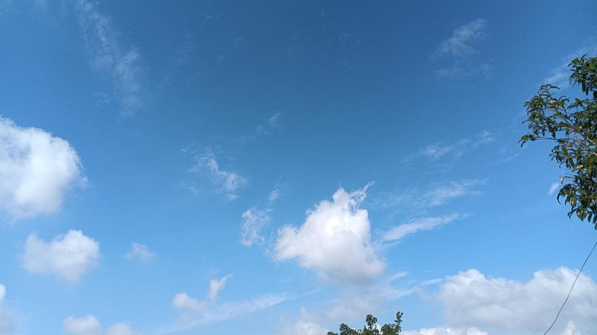 乡村任教20年取得高级职称因无空岗而无法聘任？看看江苏省的做法